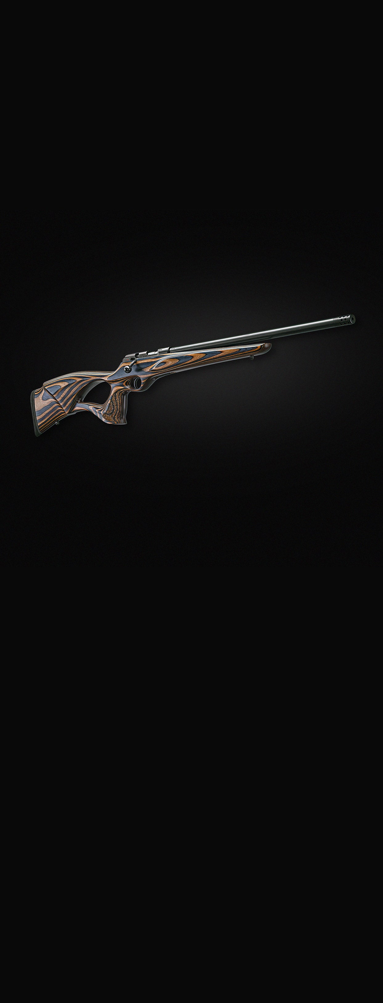 A bullseye for the popular rimfire rifle